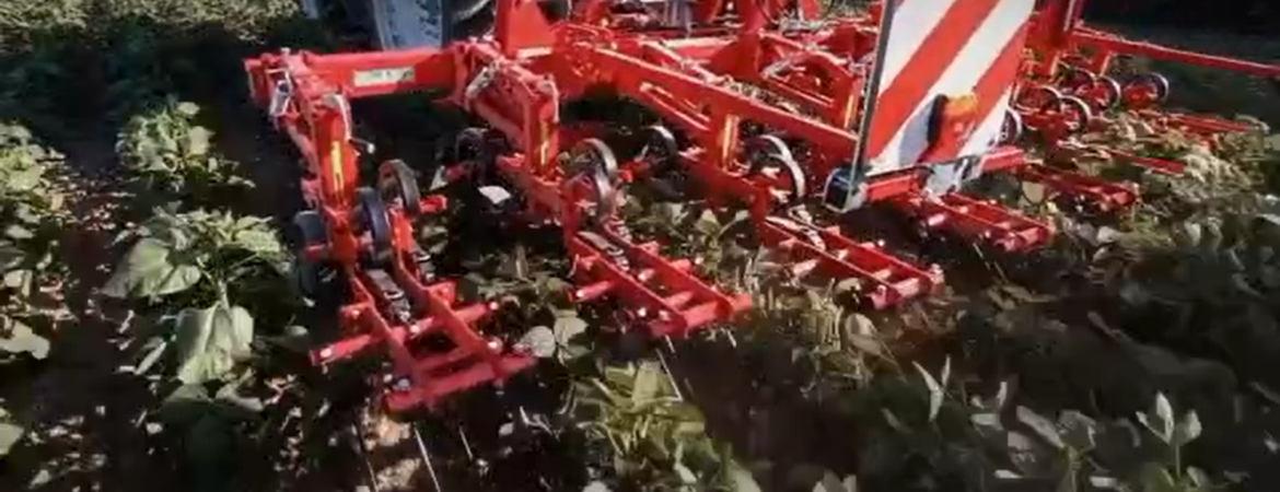 bineuse-einbock-gers