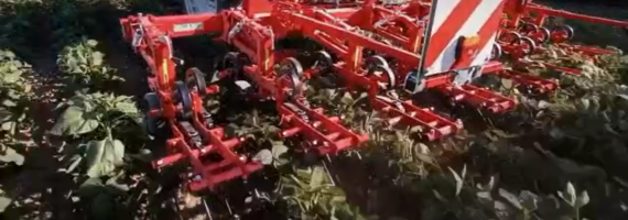 bineuse-einbock-gers