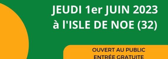 foire l'isle de noé