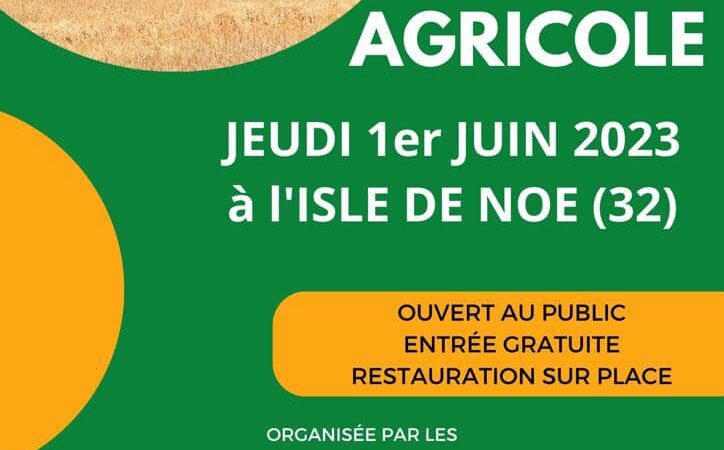 foire l'isle de noé