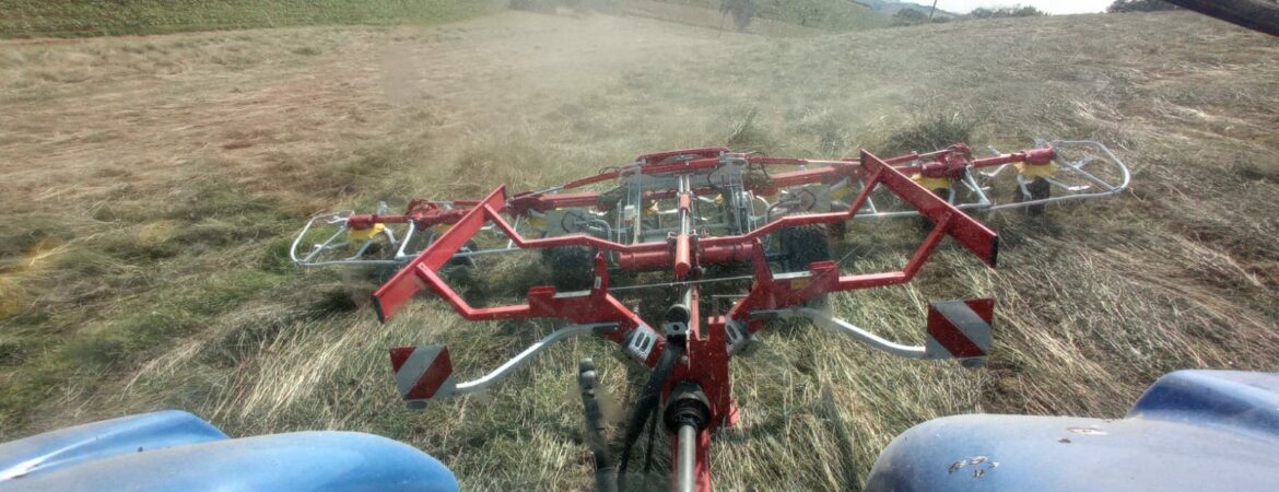 faneuse Pottinger 8680