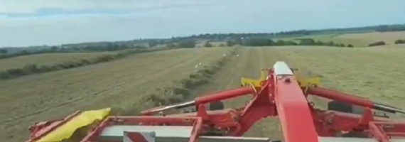 andaineur mergento pottinger