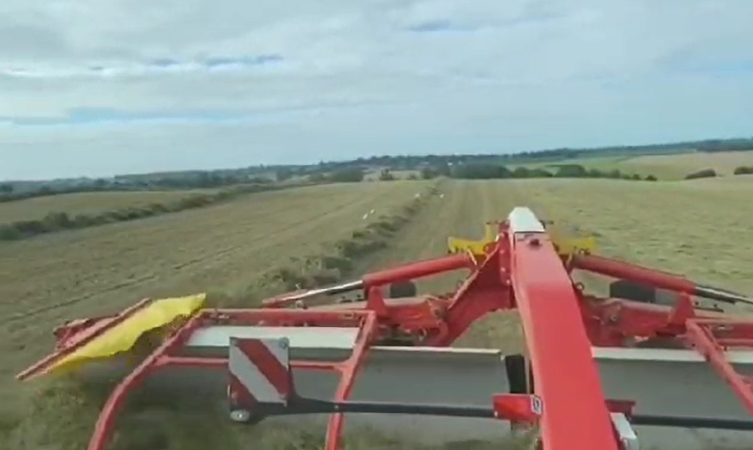 andaineur mergento pottinger