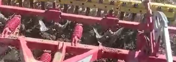 déchaumeur synkro pottinger 3530