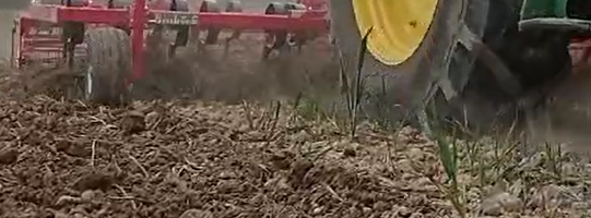 scalpeur einbock taifun 500