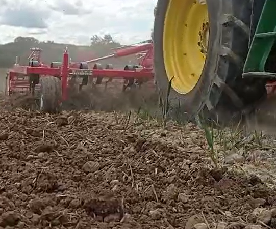 scalpeur einbock taifun 500