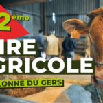 foire barcelonne du gers 2025