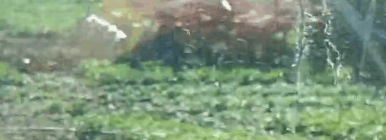 synkro pottinger gers